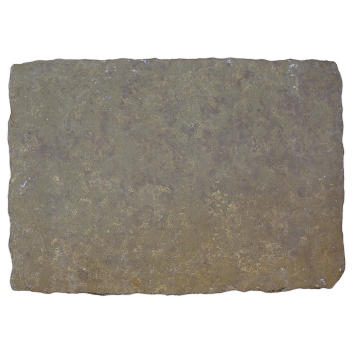 Large Sample of Heritage Olive Limestone Flagstone (300x300x20mm)
